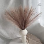 20 brins d'herbe de Pampa pour votre déco intérieure