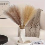 Herbe de la Pampa, décoration à petit prix