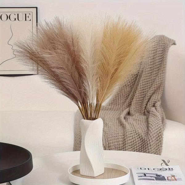 Herbe de la Pampa, décoration à petit prix