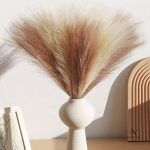 Herbe de la Pampa, accessoire décoratif