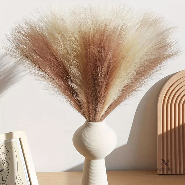 Herbe de la Pampa, accessoire décoratif