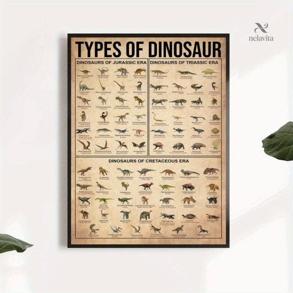 Dinosaures illustrés pour apprendre en s'amusant