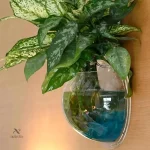 Aquarium mural en acrylique transparent pour décoration intérieure