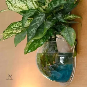 Aquarium mural en acrylique transparent pour décoration intérieure