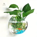 Bocal décoratif pour poissons et plantes vertes en acrylique