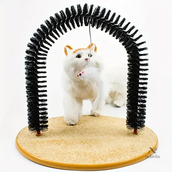 Accessoire de toilettage pratique pour le confort félin