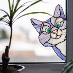 Autocollant Fenêtre Chat Curieux – Film Adhésif Étanche