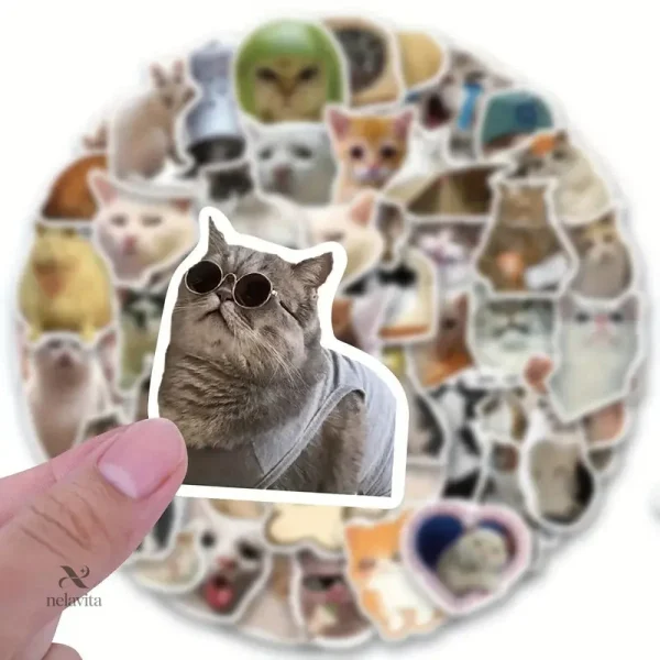 Autocollants Chats Drôles – Stickers Amusants pour Ordinateur