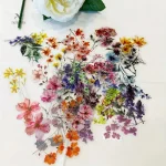 Stickers floraux transparents pour personnalisation DIY