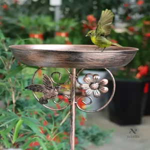 Accessoire esthétique pour le soin des oiseaux