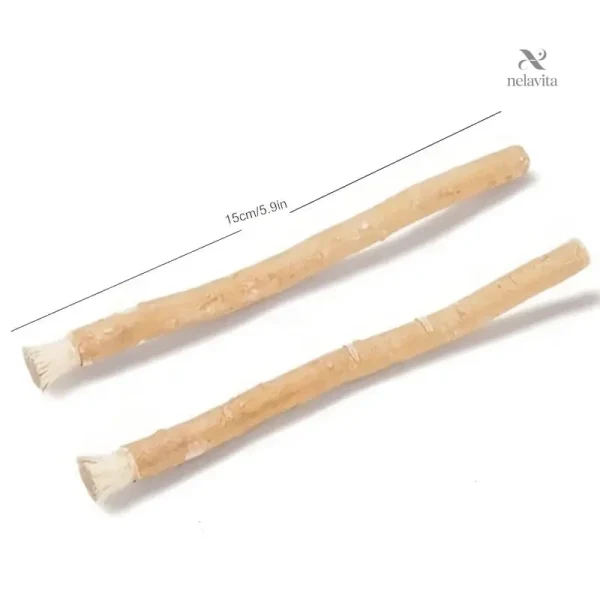 Brosse à dents écologique sans dentifrice en bâton de Siwak