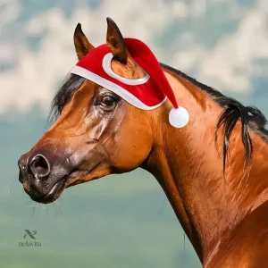 Bonnet de Noël pour cheval, accessoire festif équestre