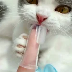 Accessoire d'hygiène dentaire pour animaux, réutilisable et pratique