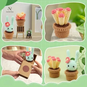 Kit Crochet Cactus et Amigurumi – Décoration Artisanale