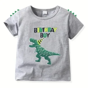 Chemise garçon grise motif dinosaure Birthday Boy – t-shirt anniversaire enfant
