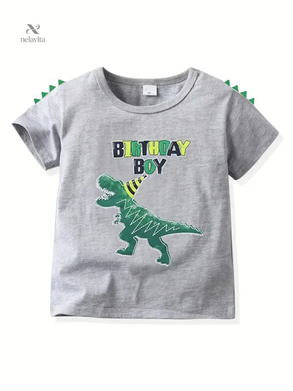 chemise-garcon-grise-motif-dinosaure-birthday-boy-t-shirt-1dv0g5-1