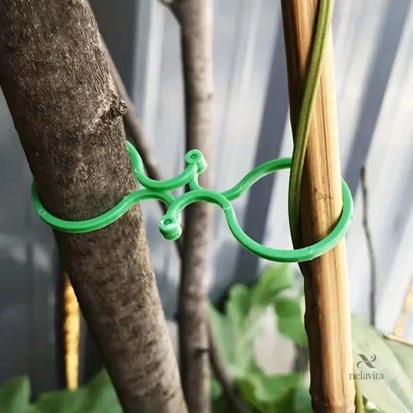 Attaches pratiques pour tuteurs de plantes et branches