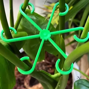 Tuteurs pour guider la croissance des plantes