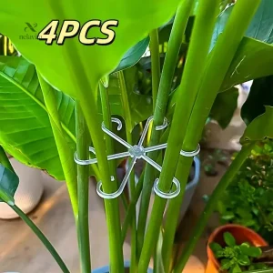 Clips de maintien pour plantes en croissance