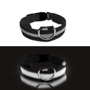 Collier Lumineux LED pour Chien – Réglable, Réfléchissant et Rechargeable pour Promenades Nocturnes en Toute Sécurité