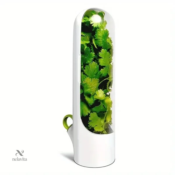 conservateur-d-herbes-aromatiques-fraiches-boite-de-range-49puxs-1
