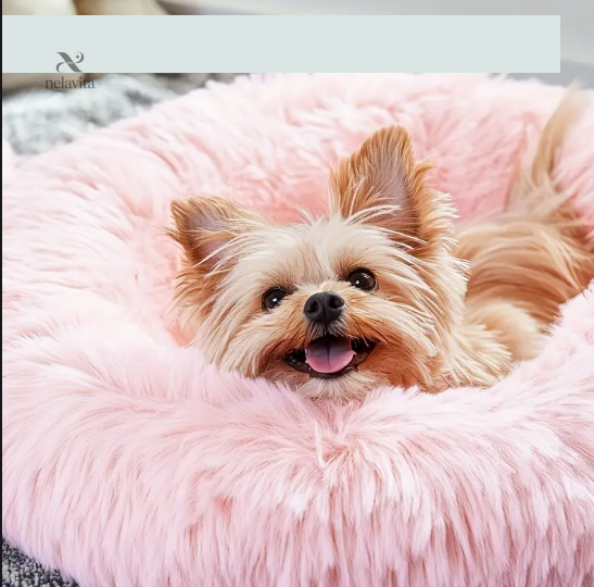 coussin-douillet-pour-chien-ou-chat-panier-moelleux-antis-eliubm-1