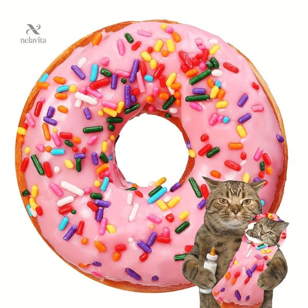 Accessoire de décoration pour les fans de pizza