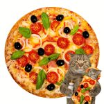 Couverture douce et confortable en forme de pizza