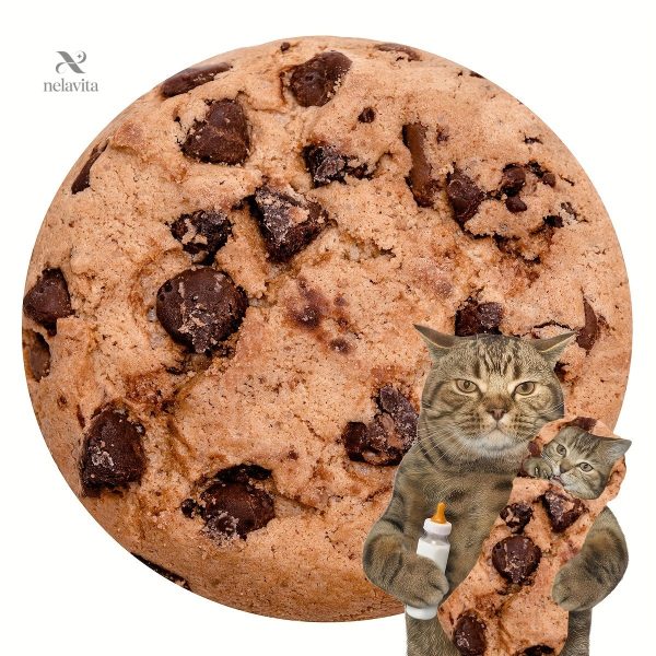 Couverture ronde à motif gourmand pour la maison