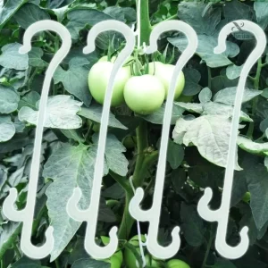 Accessoires pour tomates et concombres en jardinage