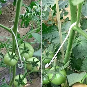 Supports pratiques pour haricots et plantes verticales