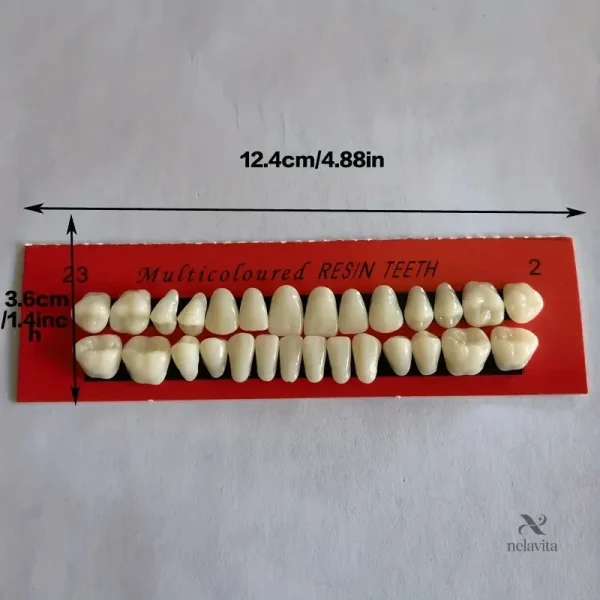 dents-artificielles-en-resine-kit-complet-pour-protheses-ouiij8-1 Dents Artificielles en Résine – Kit Prothèses Dentaires