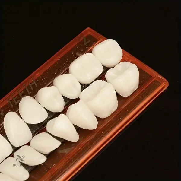 Accessoire essentiel pour dentistes et laboratoires