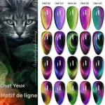 Ensemble de vernis à ongles avec effet magnétique unique