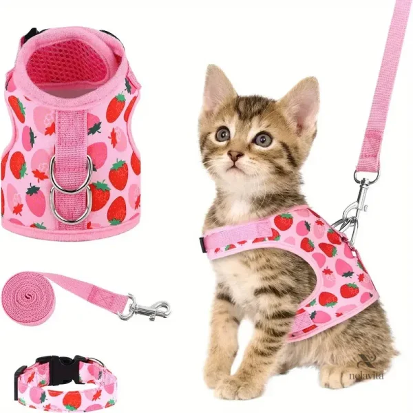 ensemble-harnais-et-laisse-pour-chaton-motif-fraise-rose-38foxd-1