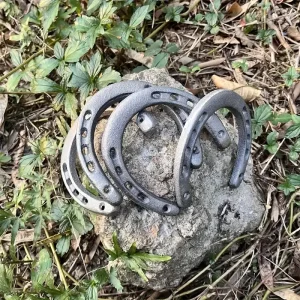 Porte-bonheur en fonte, fer à cheval décoratif pour la décoration