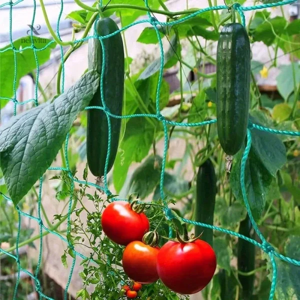 Filet de support pour plantes grimpantes, idéal pour le jardin potager