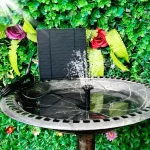 Idéale pour les Bains d’Oiseaux dans votre jardin