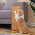 Panneau à griffer réglable et stable pour chats