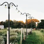 Guirlande lumineuse LED extérieure pour jardin et terrasse