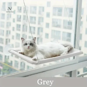 Hamac de Fenêtre pour Chat avec Ventouses Ultra-Résistantes – Support Suspendu pour Repos au Soleil