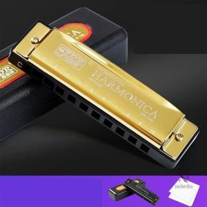 Harmonica Professionnel 10 Trous – Instrument de Musique Portable pour Débutants et Musiciens Confirmés