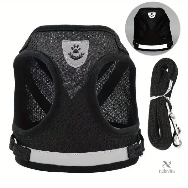 harnais-et-laisse-pour-chat-ensemble-securise-et-conforta-b99ob8-1