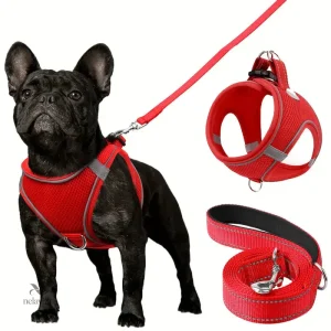 Harnais et Laisse pour Chien – Ensemble Respirant et Réfléchissant pour Promenade Sécurisée