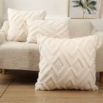 Housses de coussin en velours, lot de 2