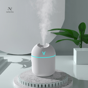 Humidificateur d’Air et Diffuseur Aromatique