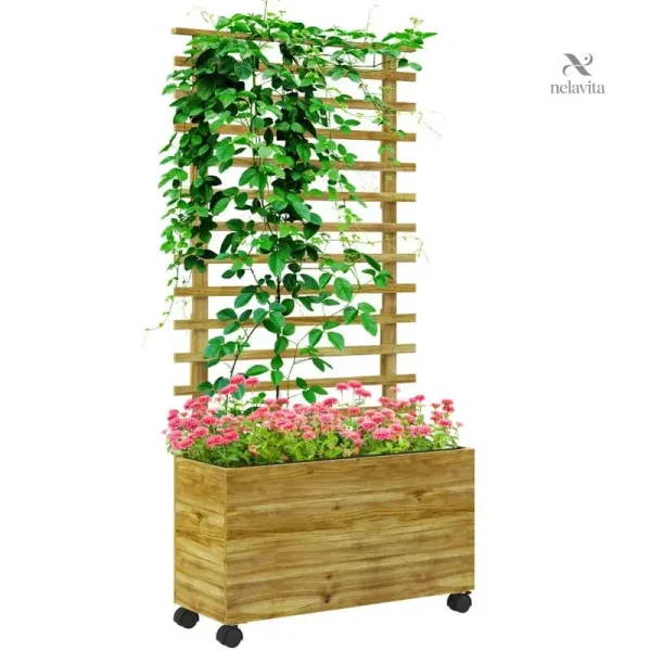 Solution décorative pour plantes grimpantes en extérieur