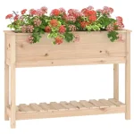 Bac à fleurs en bois avec étagère de rangement