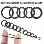 Joints toriques noirs adaptés aux températures de -25 °C à 100 °C