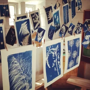 Matériel créatif pour impressions cyanotypes et art botanique